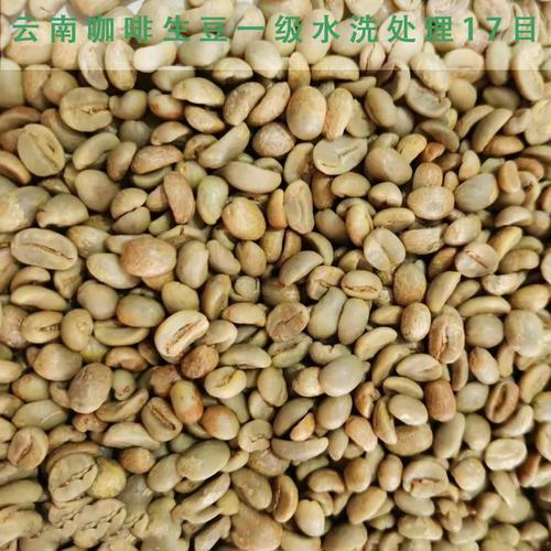 新产季云南咖啡生豆 一级水洗处理 普洱原产区咖啡豆商用拼配推荐