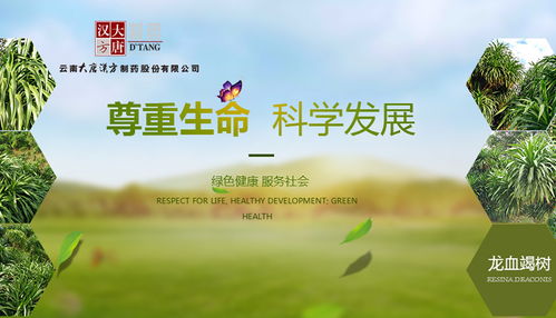 昆明网站建设 云南网络公司 新媒体运营服务商 app开发价格 专业小程序研发 昆明奥远科技