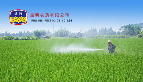昆明网络公司 云南网络公司 网页设计 网站建设 网站制作公司 新媒体运营公司 app开发 小程序研发 尽在昆明奥远科技