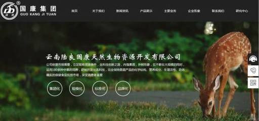 企业网站品牌的内涵