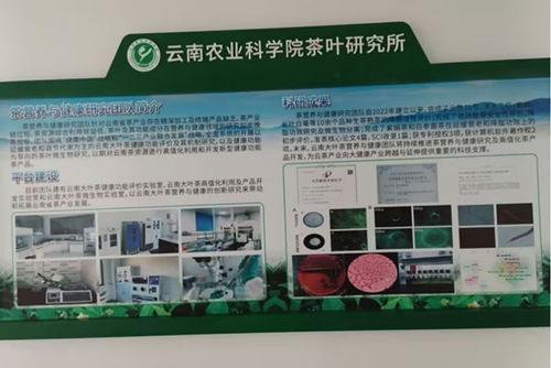 云南省农业科学院官方网站 云南省农科院