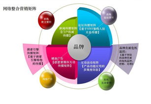 网络营销方案的执行