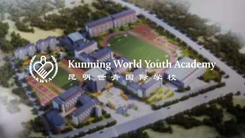 昆明网站建设 云南网络公司 新媒体运营服务商 app开发价格 专业小程序研发 昆明奥远科技