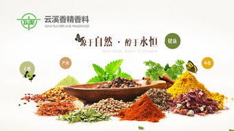 昆明网络公司 云南网络公司 网页设计 网站建设 网站制作公司 新媒体运营公司 app开发 小程序研发 尽在昆明奥远科技