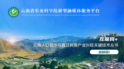 昆明网络公司|云南网络公司|昆明网站建设公司|昆明网页设计|云南网站制作|新媒体运营公司|APP开发|小程序研发|尽在昆明奥远科技