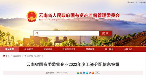 云南19家省属监管企业职工平均年薪披露