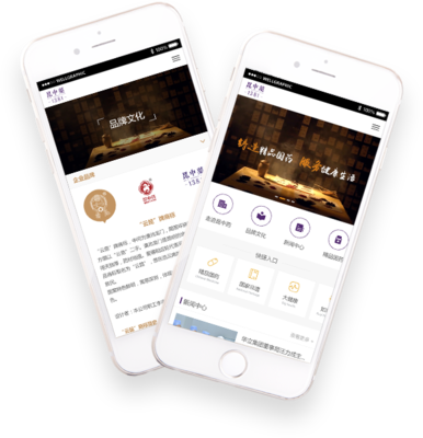昆中药|昆明网络公司|云南网络公司|昆明网站建设公司|昆明网页设计|云南网站制作|新媒体运营公司|APP开发|小程序研发|尽在昆明奥远科技