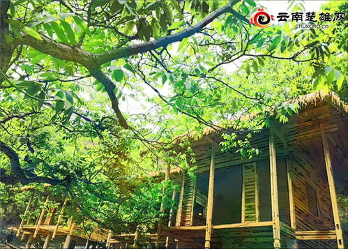 大姚县三台乡闯出产业发展新天地 脱贫攻坚 楚雄频道 云南网