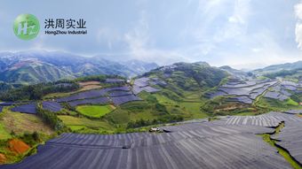 昆明网络公司 云南网络公司 网页设计 网站建设 网站制作公司 新媒体运营公司 app开发 小程序研发 尽在昆明奥远科技
