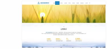 云天化股份 昆明网站建设 云南网络公司 新媒体运营服务商 app开发价格 专业小程序研发 昆明奥远科技