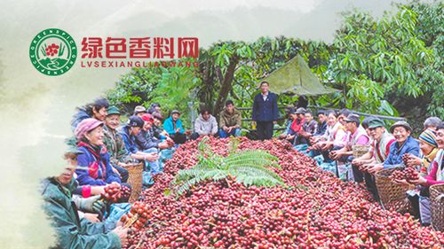 昆明网络公司 云南网络公司 网页设计 网站建设 网站制作公司 新媒体运营公司 app开发 小程序研发 尽在昆明奥远科技